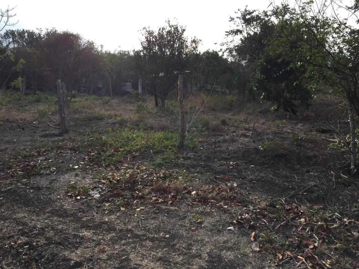 Se vende terreno el la laja zapote bueno tuxpan