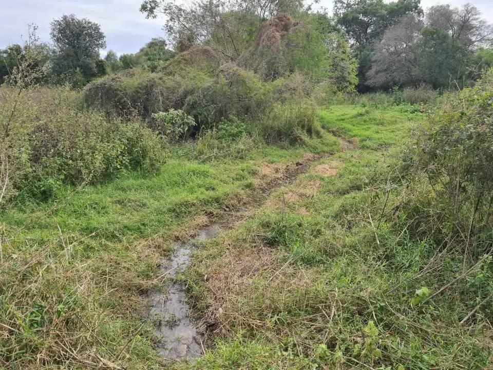 Tebanco Tuxpan, veracruz