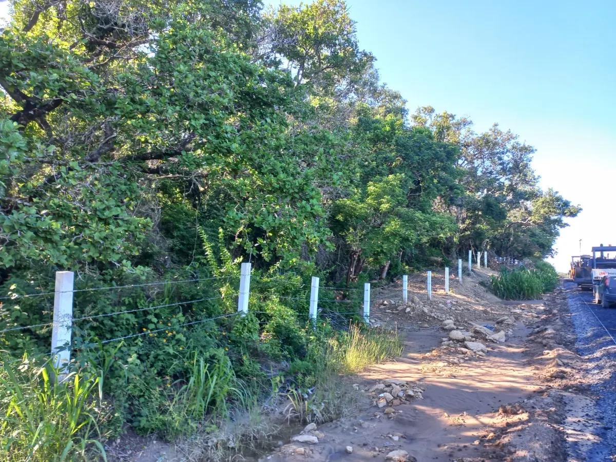 1.2 hectareas en el Chijolar, Tuxpan, Veracruz