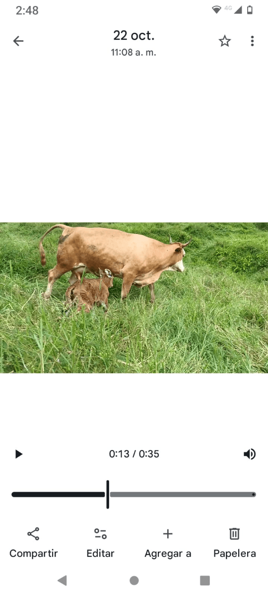 Rancho con campos de pastura y arroyos