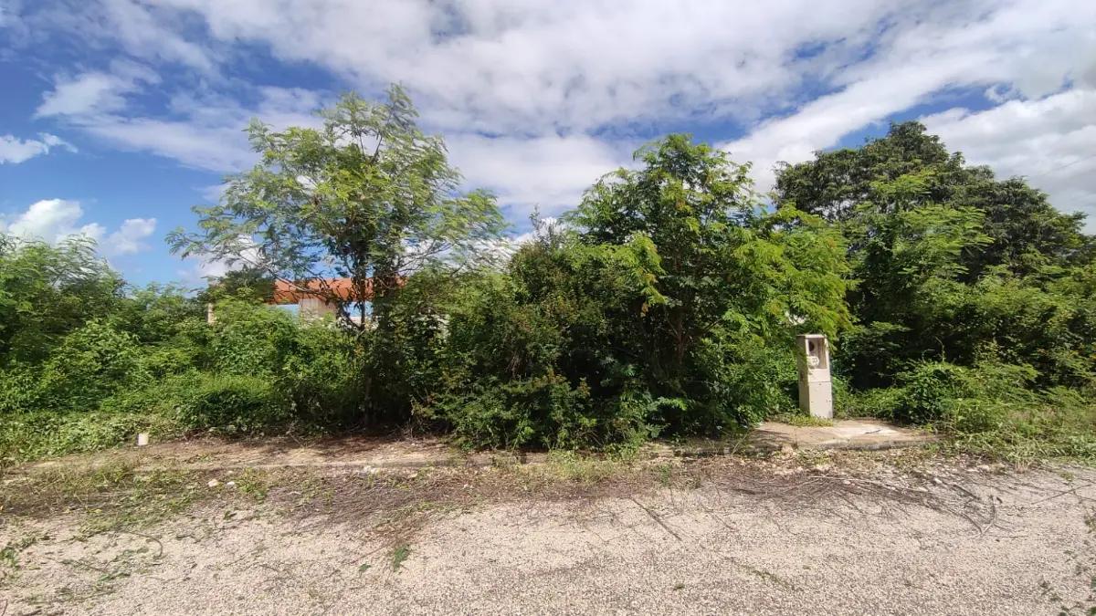 Terreno en Real Montejo para uso comercial o habitacional